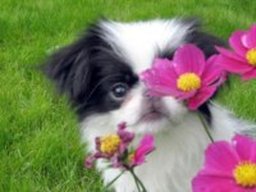 kenza_20211130_1295002898